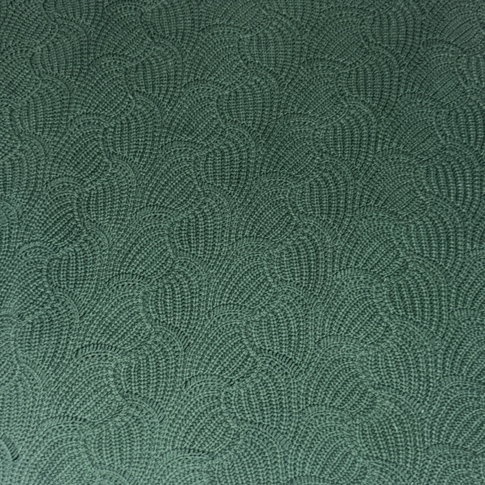 Green Sweater with Scalloped Bottom from Andree by Unit Size Medium - Picture 3 of 7
